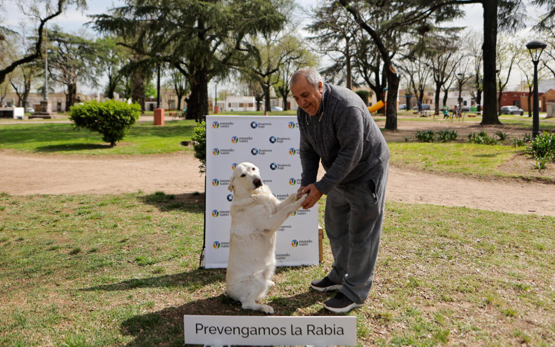 Vacunación de mascotas