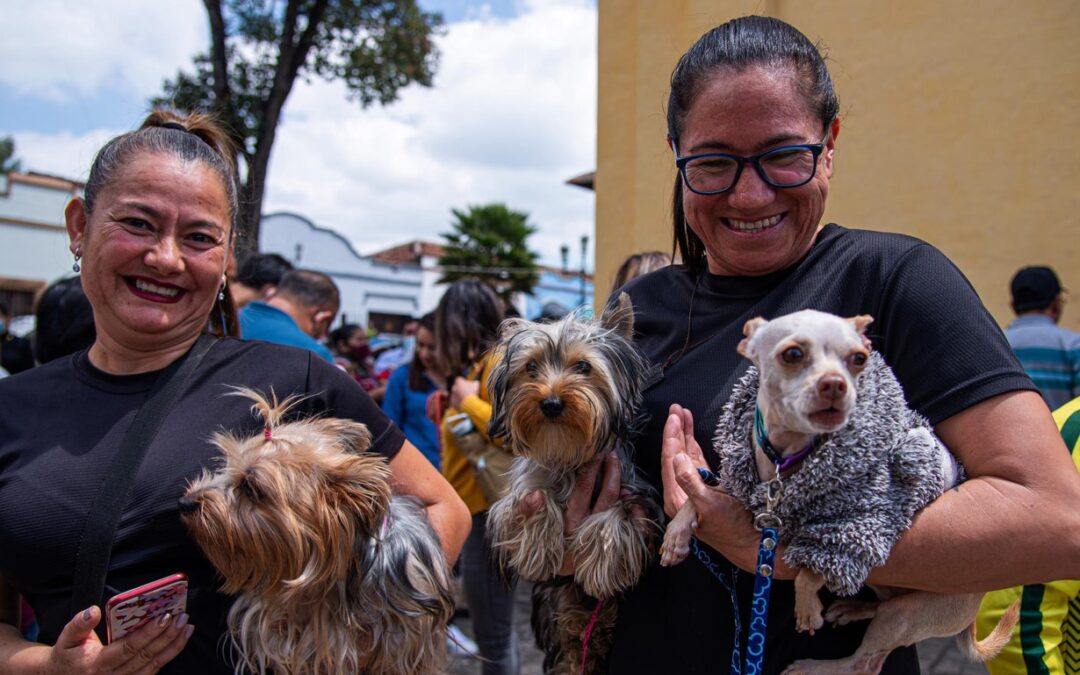 Crece la población de mascotas domésticas en metrópolis latinoamericanas