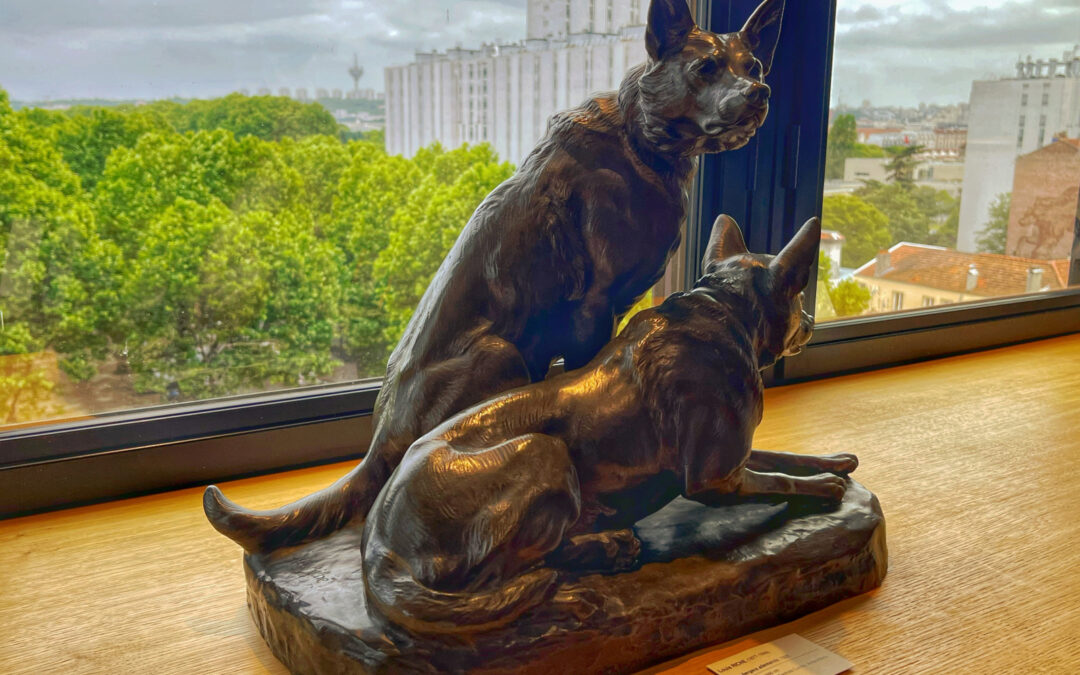 «Así es el nuevo Museo del Perro en París»