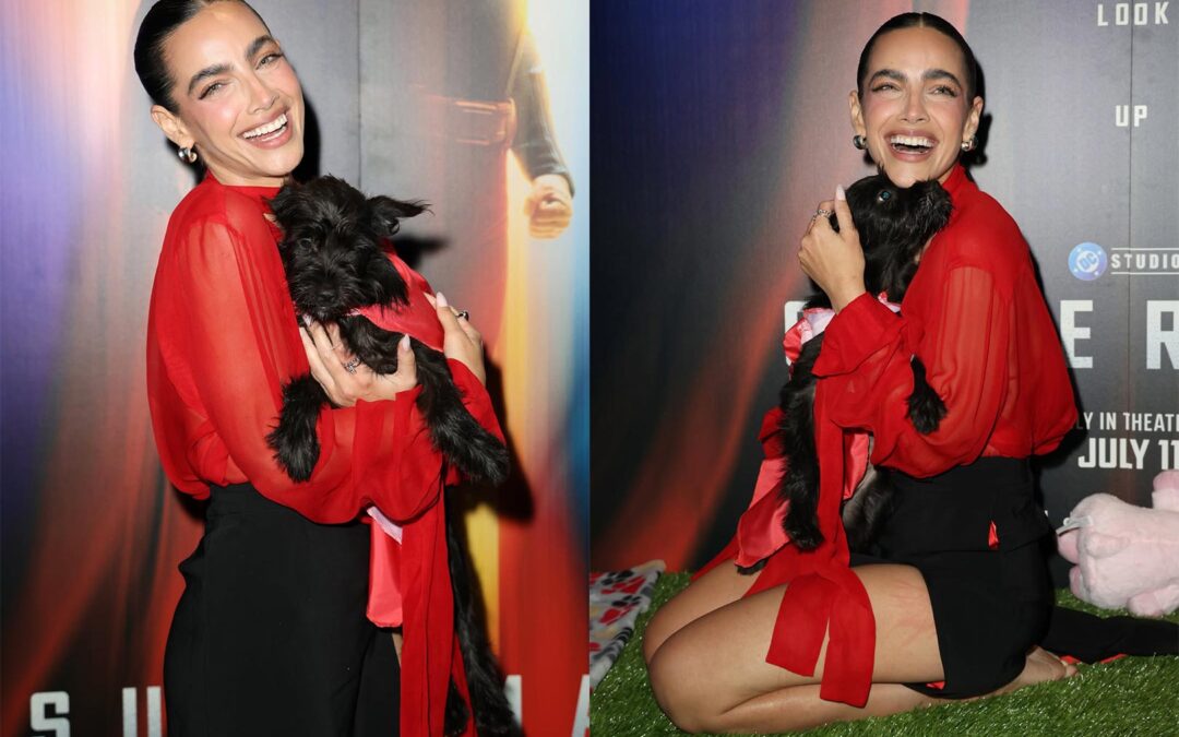 La actriz de Superman adopta a su propia Krypto