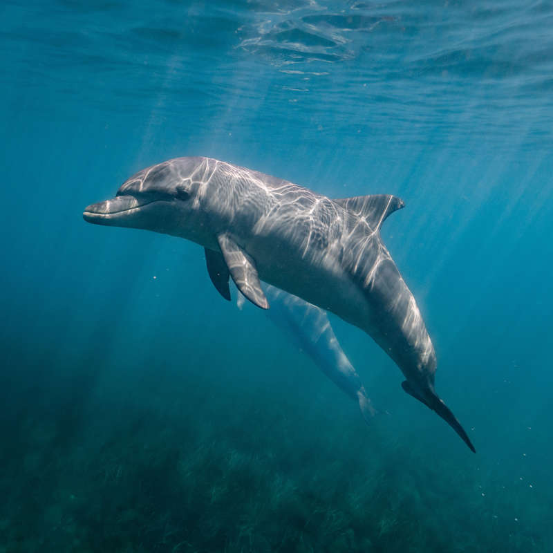 foto: National Geographic