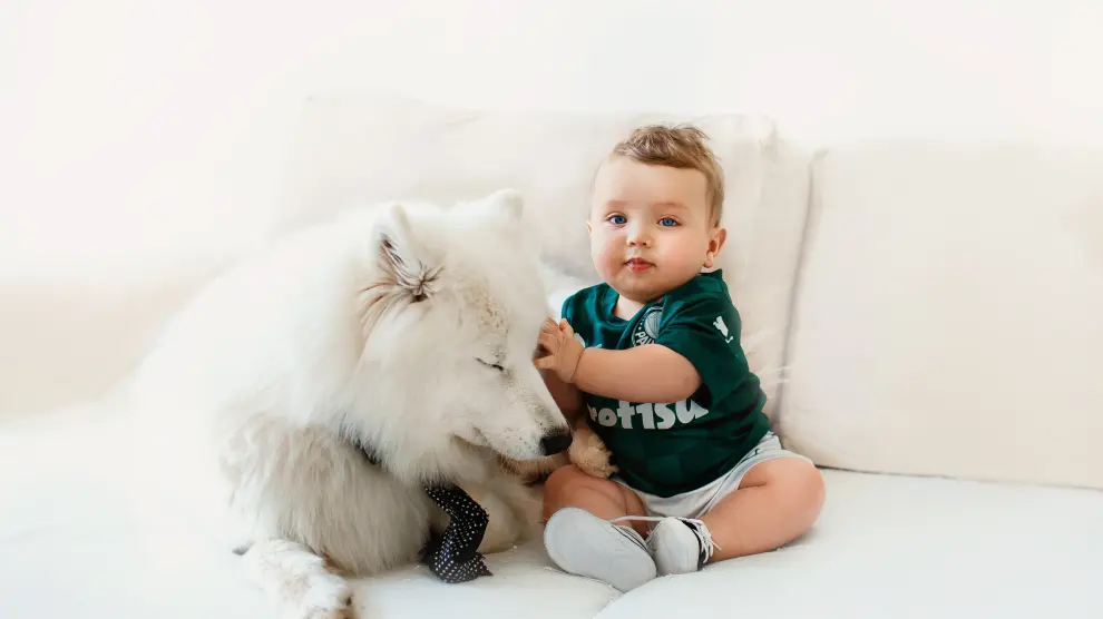 Así reacciona un perro cuando llega un bebé